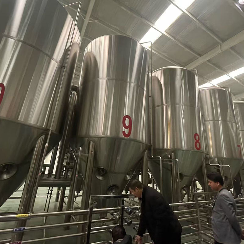 平阳精酿啤酒设备